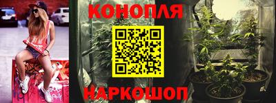 Альфа ПВП Новозыбков